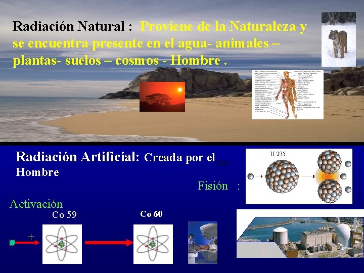 Radiación Natural : Proviene de la Naturaleza y se encuentra presente en el agua-