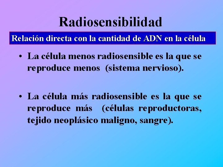 Radiosensibilidad Relación directa con la cantidad de ADN en la célula • La célula