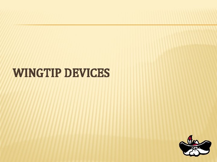 WINGTIP DEVICES 