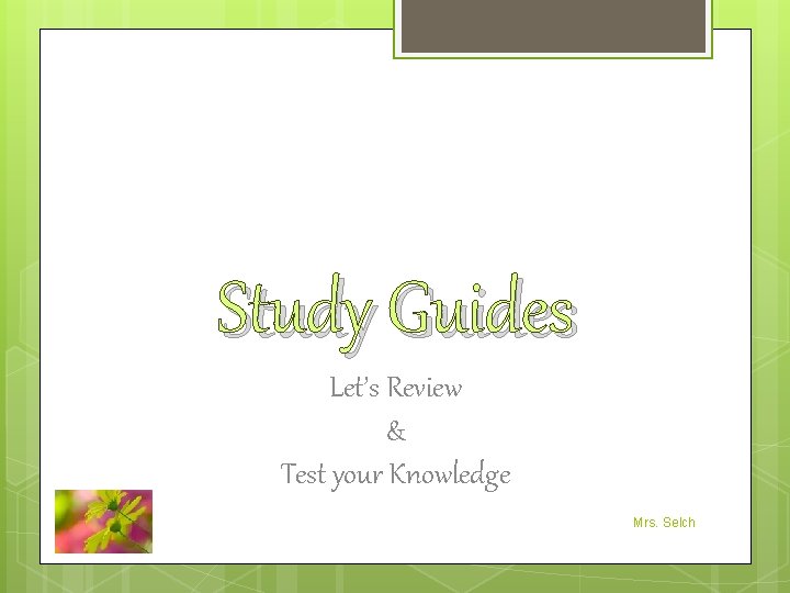 Study Guides Let’s Review & Test your Knowledge Mrs. Selch 
