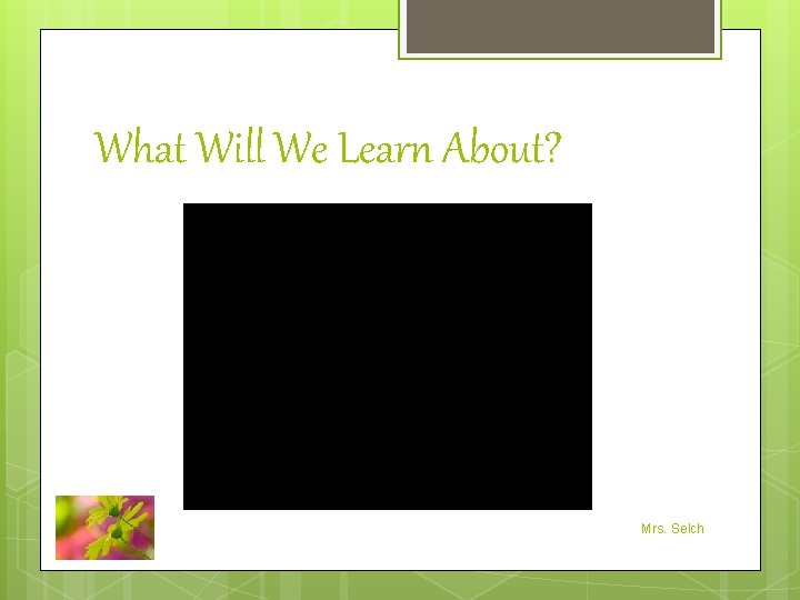 What Will We Learn About? Mrs. Selch 