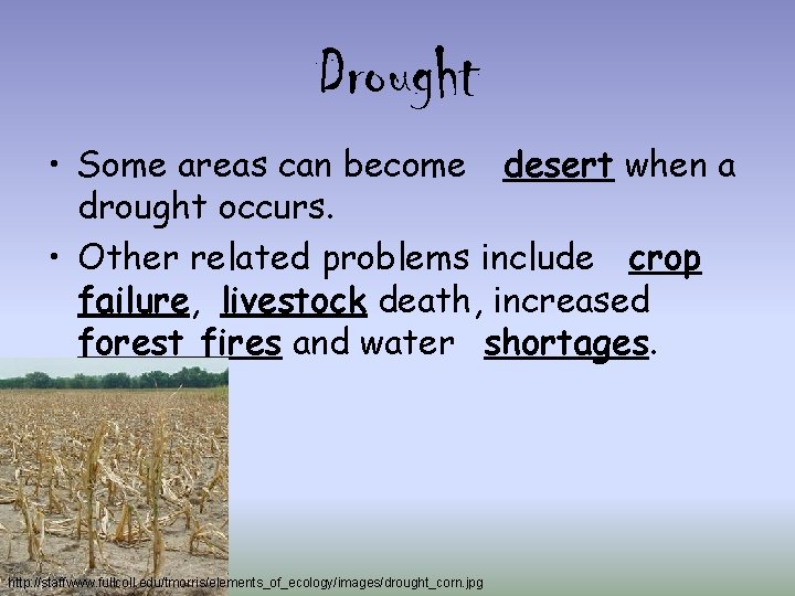 Drought • Some areas can become desert when a drought occurs. • Other related