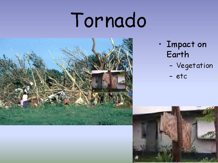 Tornado • Impact on Earth – Vegetation – etc 