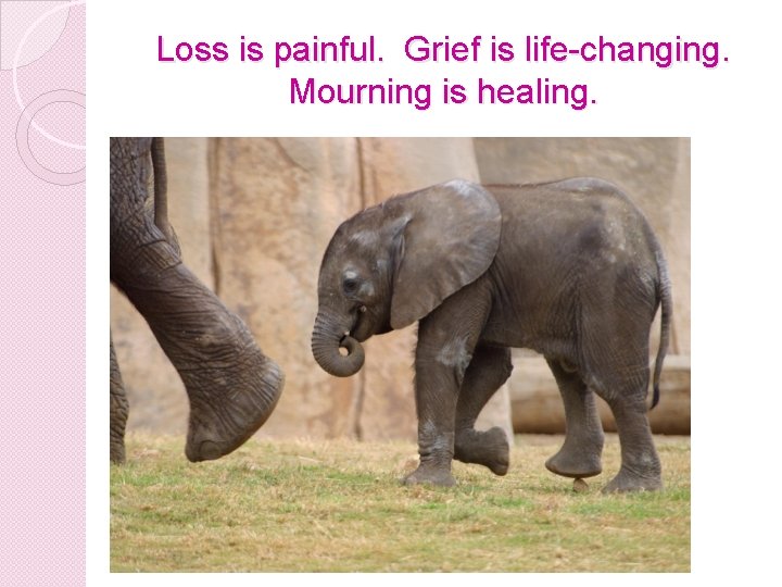 Loss is painful. Grief is life-changing. Mourning is healing. Loss is painful. Grief is life-changing. Mourning is healing.