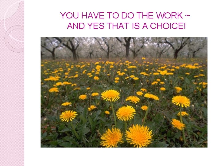 YOU HAVE TO DO THE WORK ~ AND YES THAT IS A CHOICE! YOU HAVE TO DO THE WORK ~ AND YES THAT IS A CHOICE!