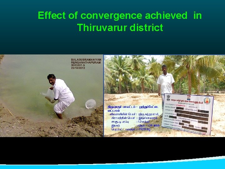 Effect of convergence achieved in Thiruvarur district 