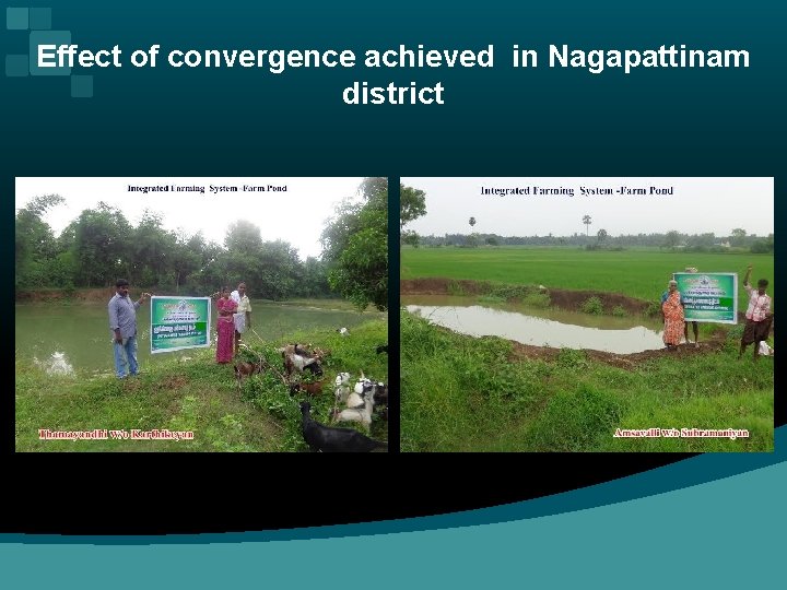 Effect of convergence achieved in Nagapattinam district 