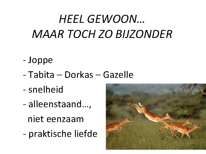 HEEL GEWOON… MAAR TOCH ZO BIJZONDER - Joppe - Tabita – Dorkas – Gazelle
