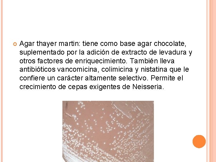 MEDIOS DE CULTIVO Y TCNICAS DE AISLAMIENTO Microbiologa