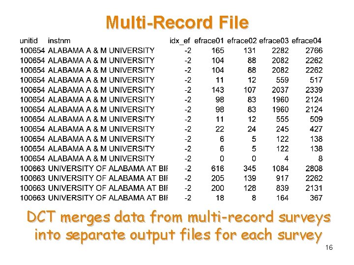 Multi-Record File DCT merges data from multi-record surveys into separate output files for each