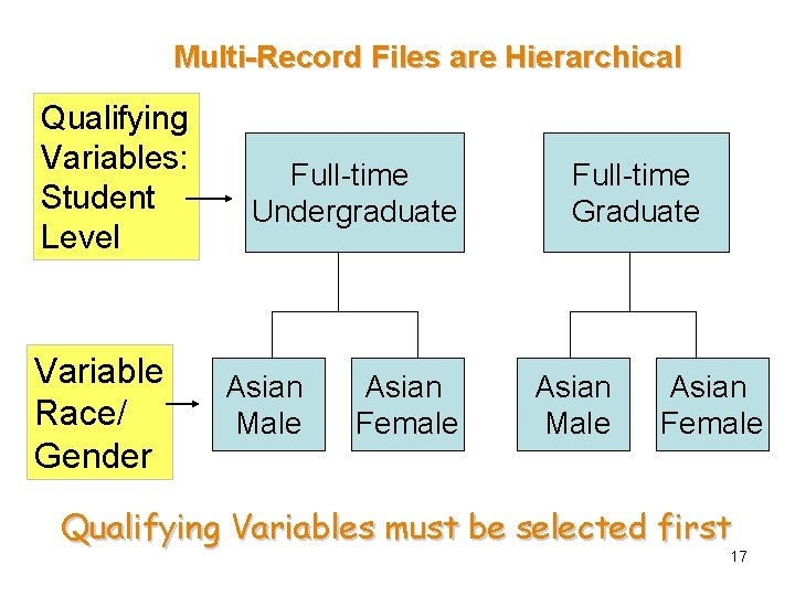 Multi-Record Files are Hierarchical Qualifying Variables: Student Level Variable Race/ Gender Full-time Undergraduate Asian