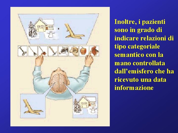 Inoltre, i pazienti sono in grado di indicare relazioni di tipo categoriale semantico con