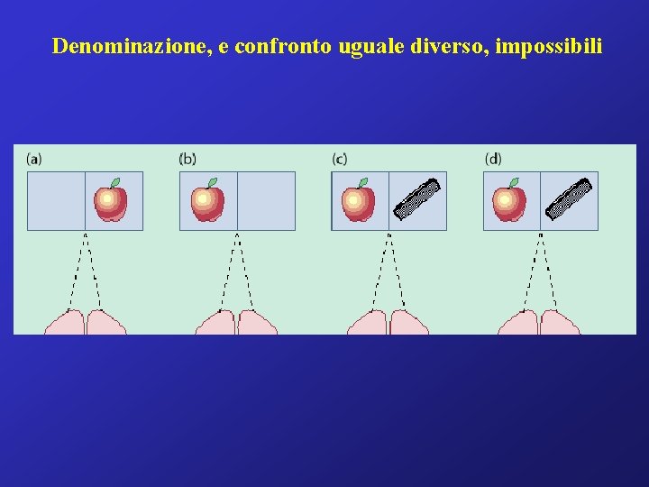 Denominazione, e confronto uguale diverso, impossibili 