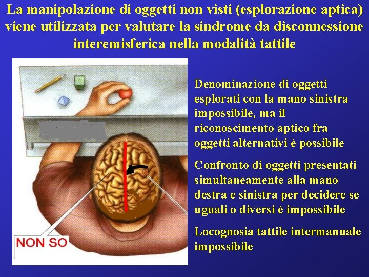 La manipolazione di oggetti non visti (esplorazione aptica) viene utilizzata per valutare la sindrome