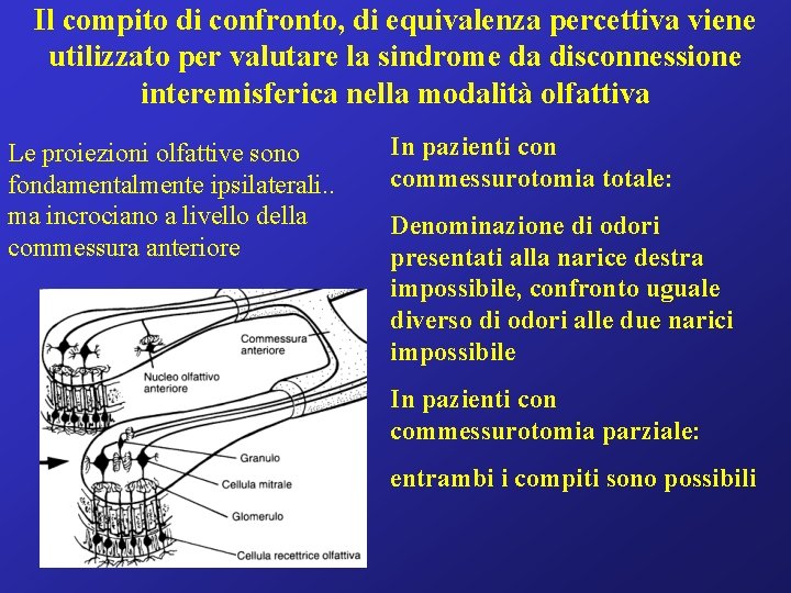 Il compito di confronto, di equivalenza percettiva viene utilizzato per valutare la sindrome da