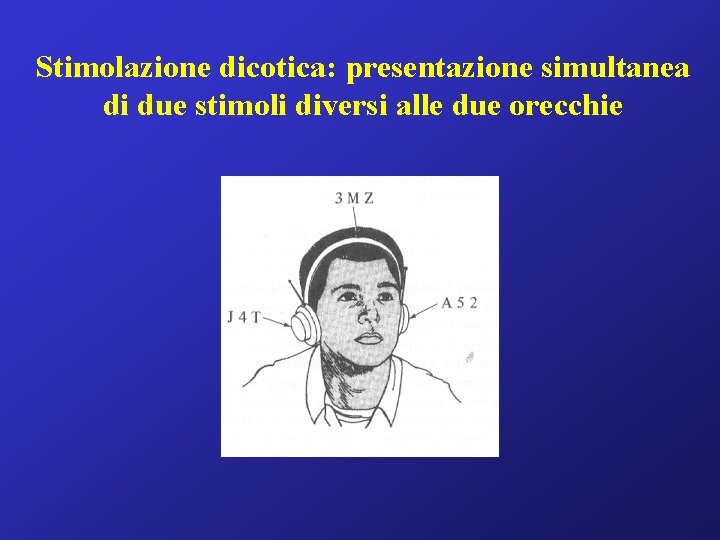 Stimolazione dicotica: presentazione simultanea di due stimoli diversi alle due orecchie 