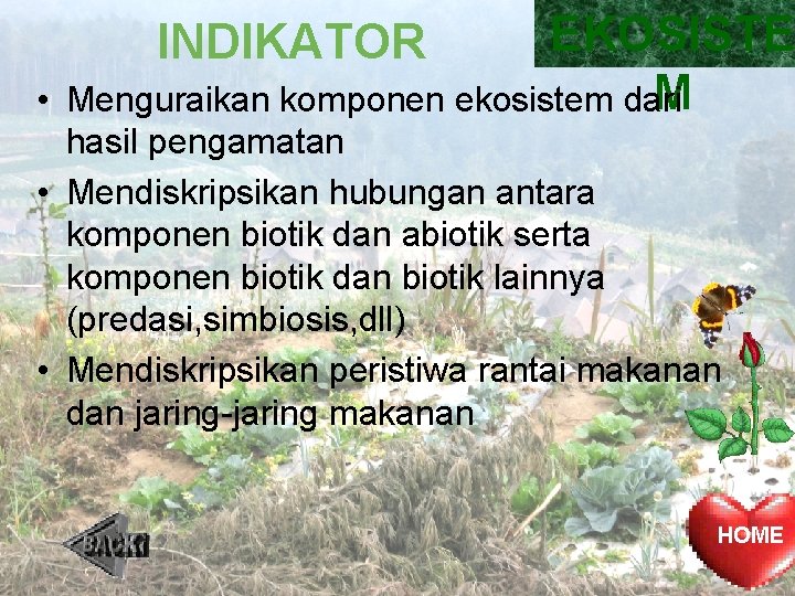EKOSISTE M Menguraikan komponen ekosistem dari INDIKATOR • hasil pengamatan • Mendiskripsikan hubungan antara