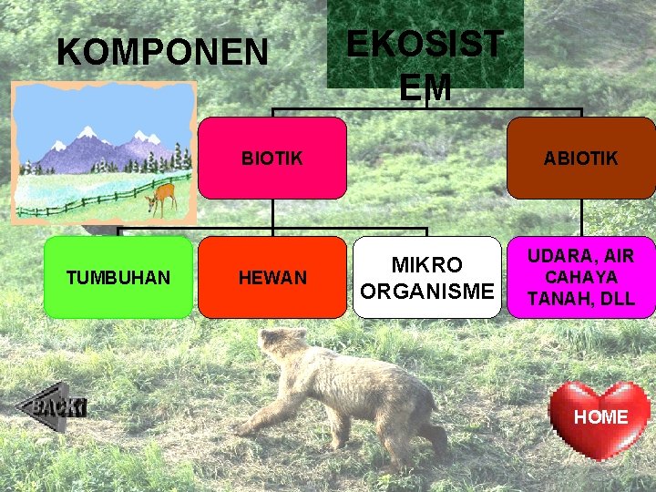 KOMPONEN EKOSISTEM EKOSIST EM BIOTIK TUMBUHAN HEWAN ABIOTIK MIKRO ORGANISME UDARA, AIR CAHAYA TANAH,