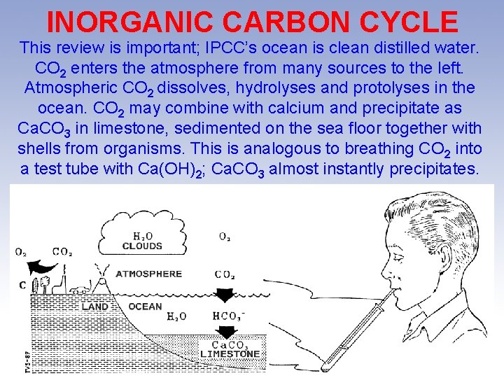 INORGANIC CARBON CYCLE This review is important; IPCC’s ocean is clean distilled water. CO