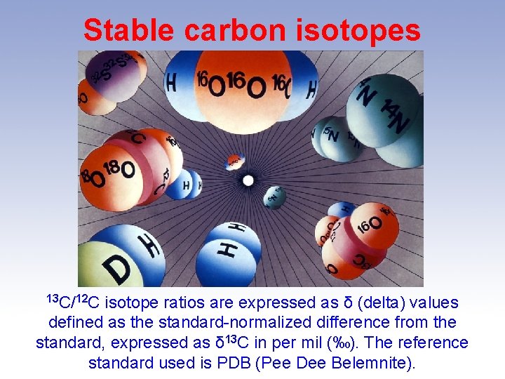 Stable carbon isotopes 13 C/12 C isotope ratios are expressed as δ (delta) values