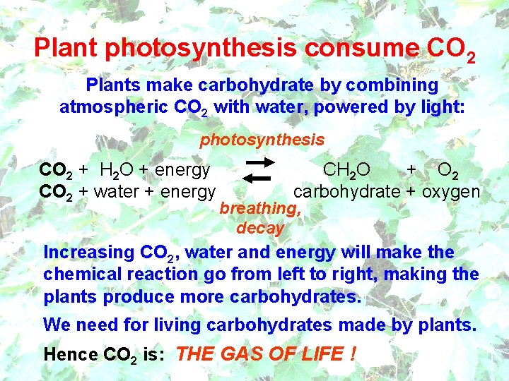 Plant photosynthesis consume CO 2 Plants make carbohydrate by combining atmospheric CO 2 with