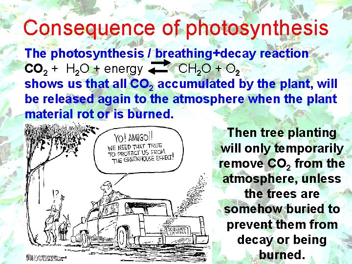 Consequence of photosynthesis The photosynthesis / breathing+decay reaction CO 2 + H 2 O