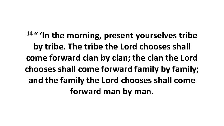 14 “ ‘In the morning, present yourselves tribe by tribe. The tribe the Lord chooses 14 “ ‘In the morning, present yourselves tribe by tribe. The tribe the Lord chooses