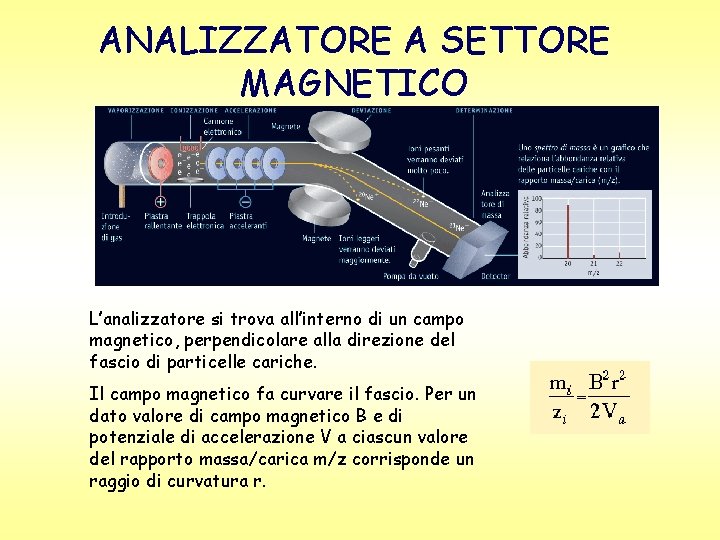 ANALIZZATORE A SETTORE MAGNETICO L’analizzatore si trova all’interno di un campo magnetico, perpendicolare alla