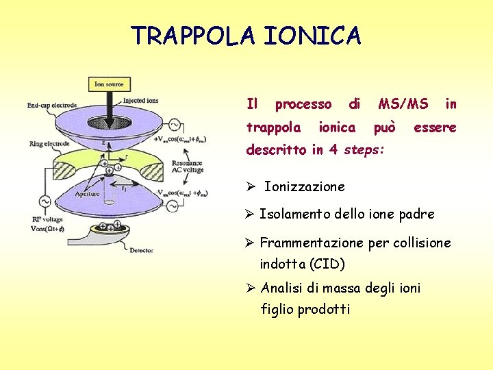 TRAPPOLA IONICA Il processo trappola di ionica MS/MS può in essere descritto in 4