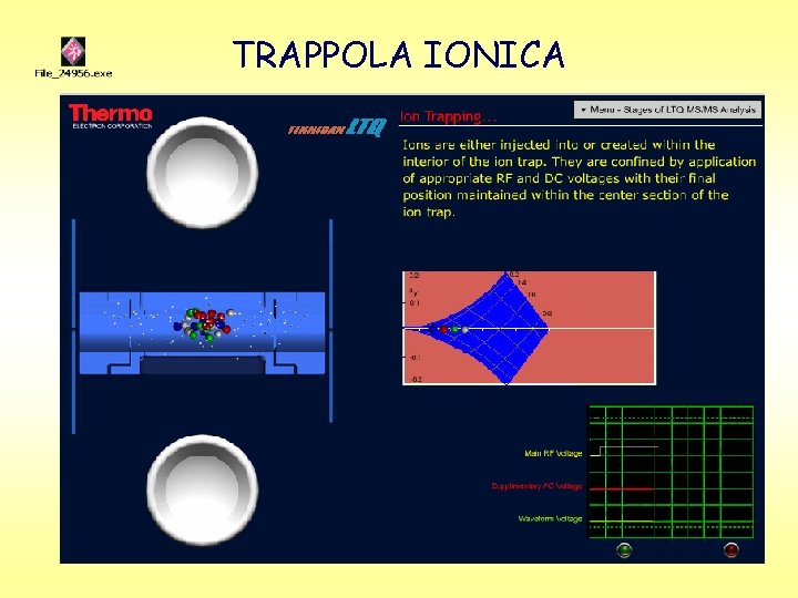 TRAPPOLA IONICA 