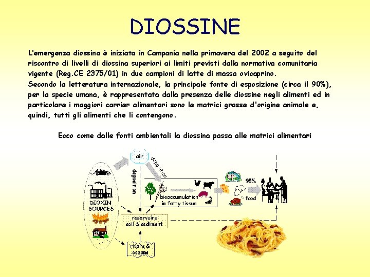 DIOSSINE L’emergenza diossina è iniziata in Campania nella primavera del 2002 a seguito del