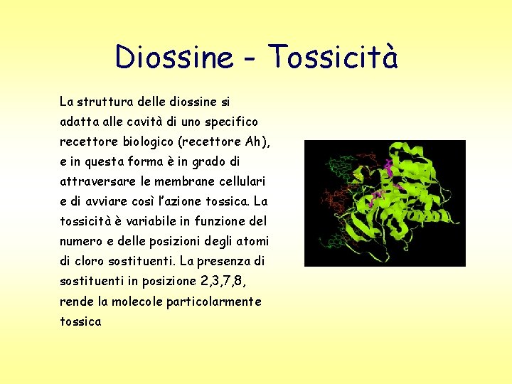 Diossine - Tossicità La struttura delle diossine si adatta alle cavità di uno specifico