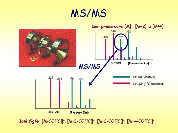 MS/MS Ioni precursori: [M]+, [M+2]+ e [M+4]+ MS/MS (Precursor ion) (Product Ion) Ioni figlio: