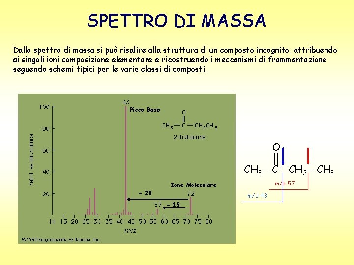 SPETTRO DI MASSA Dallo spettro di massa si può risalire alla struttura di un