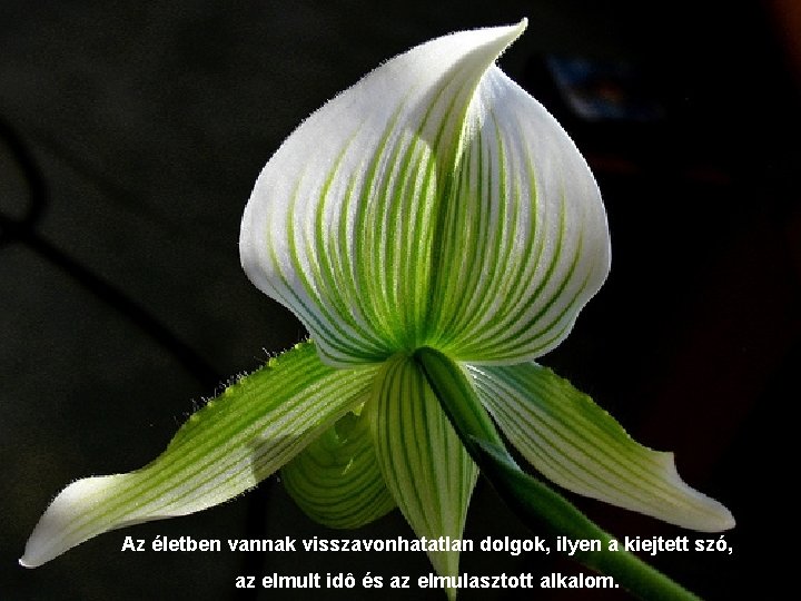 Az életben vannak visszavonhatatlan dolgok, ilyen a kiejtett szó, az elmult idô és az