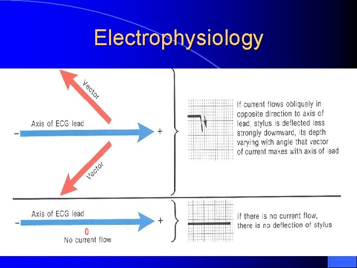 Electrophysiology 