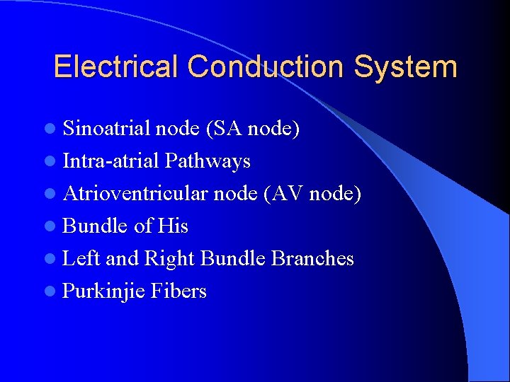 Electrical Conduction System l Sinoatrial node (SA node) l Intra-atrial Pathways l Atrioventricular node