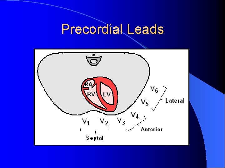 Precordial Leads 
