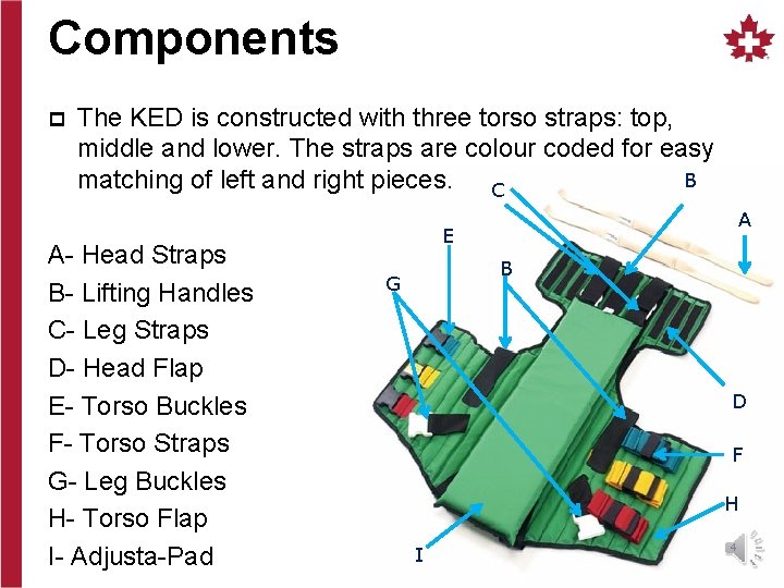 Components p The KED is constructed with three torso straps: top, middle and lower.