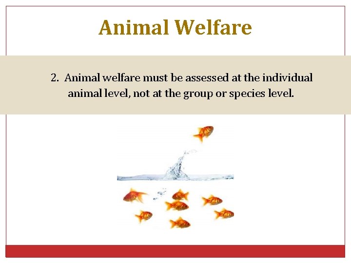 Animal Welfare 2. Animal welfare must be assessed at the individual animal level, not