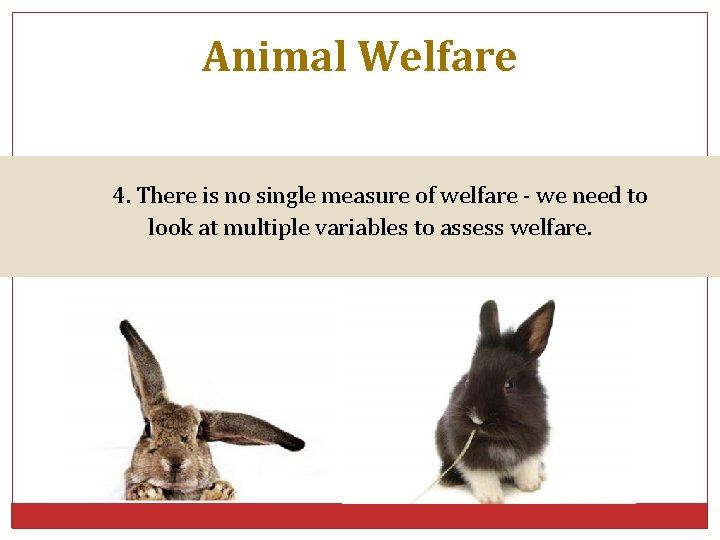 Animal Welfare 4. There is no single measure of welfare - we need to