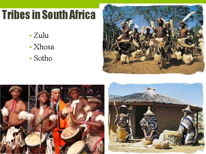 Tribes in South Africa • Zulu • Xhosa • Sotho 