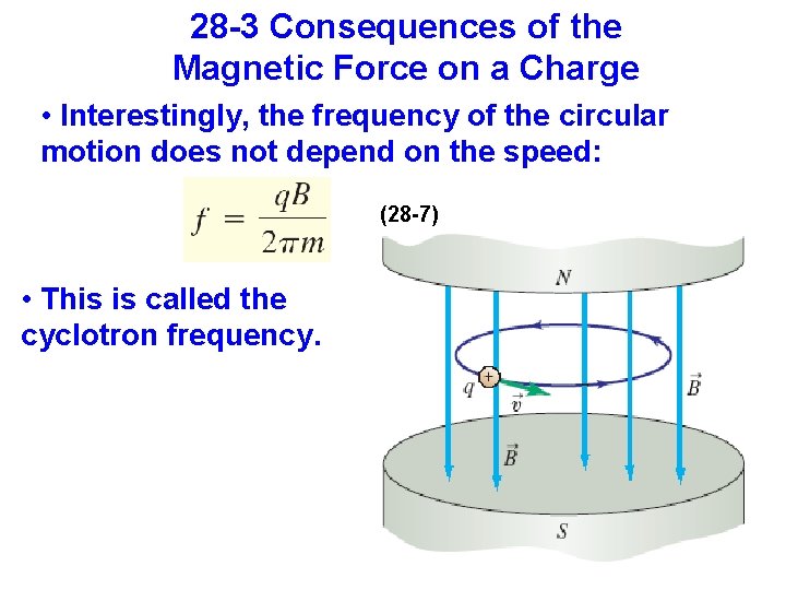 28 -3 Consequences of the Magnetic Force on a Charge • Interestingly, the frequency