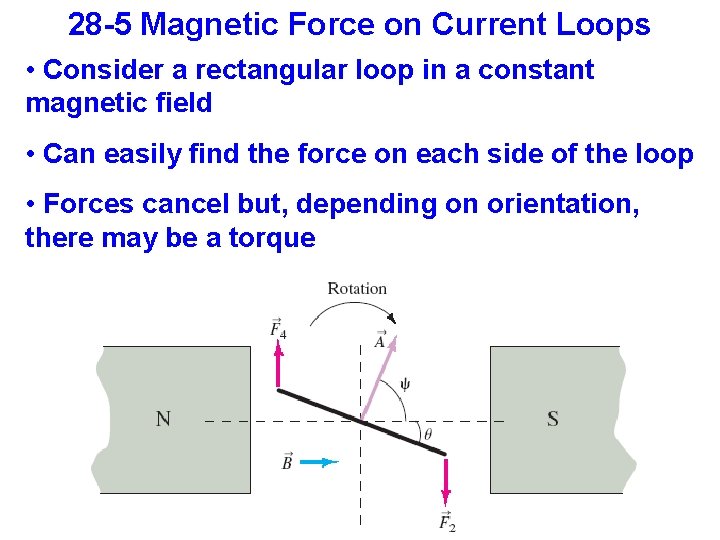 28 -5 Magnetic Force on Current Loops • Consider a rectangular loop in a