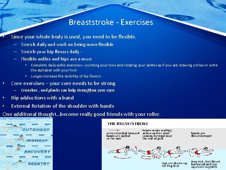 Breaststroke - Exercises • Since your whole body is used, you need to be