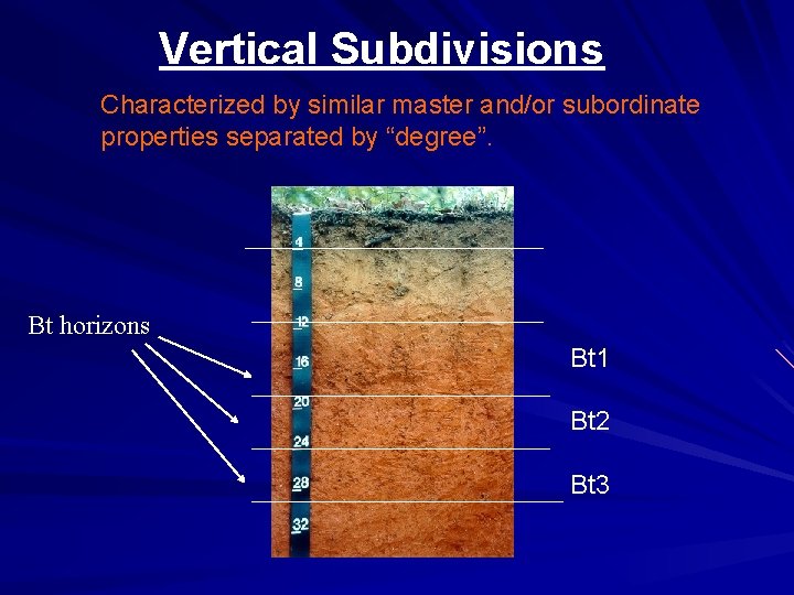 Vertical Subdivisions Characterized by similar master and/or subordinate properties separated by “degree”. Bt horizons