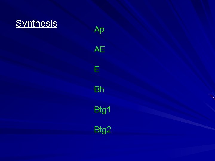 Synthesis Ap AE E Bh Btg 1 Btg 2 