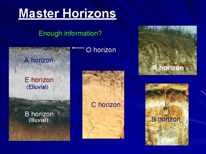 Master Horizons Enough information? O horizon A horizon R horizon E horizon (Elluvial) C