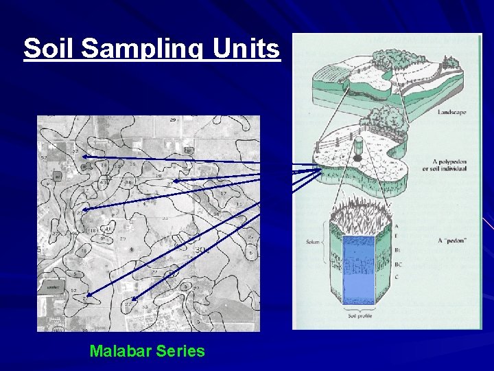 Soil Sampling Units Malabar Series 