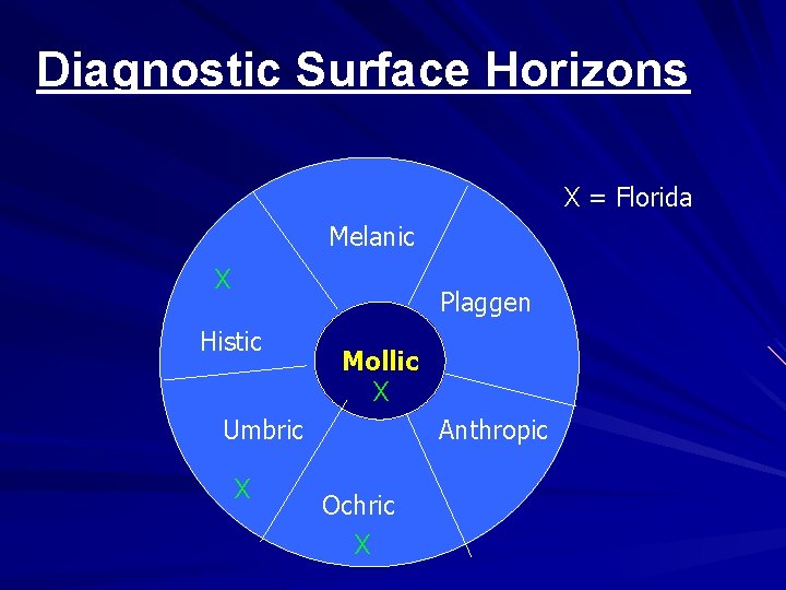 Diagnostic Surface Horizons X = Florida Melanic X Plaggen Histic Mollic X Umbric X